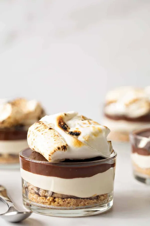 No Bake Cookie Dough S'mores Cheesecake