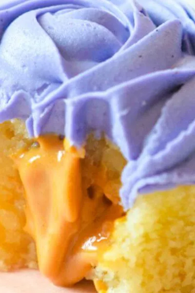 Peanut Butter and Jelly Cupcakes