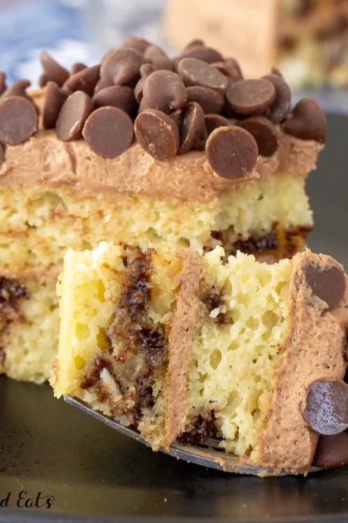 Sugar Free Chocolate Cake