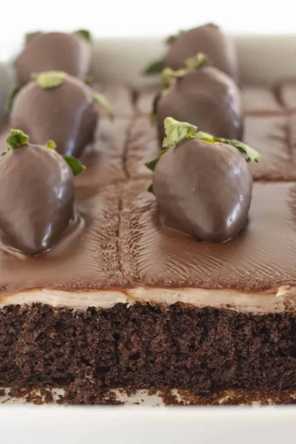 The Best Chocolate Covered Strawberry Cake