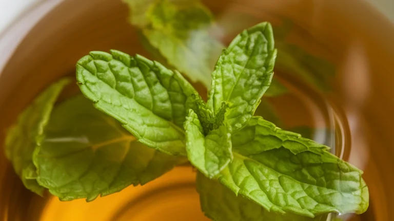 Fresh Mint Tea with Green Tea - Featured