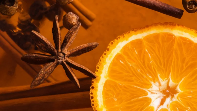 Mulling Spice with Cinnamon Clove Allspice and Orange - Featured
