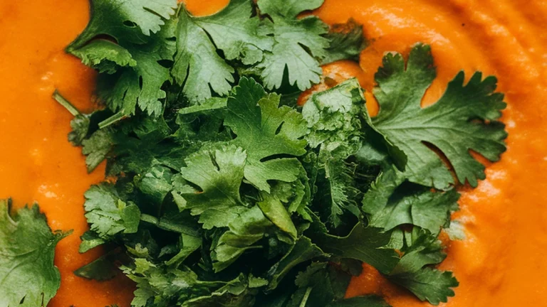 Carrot and Coriander Soup - Featured